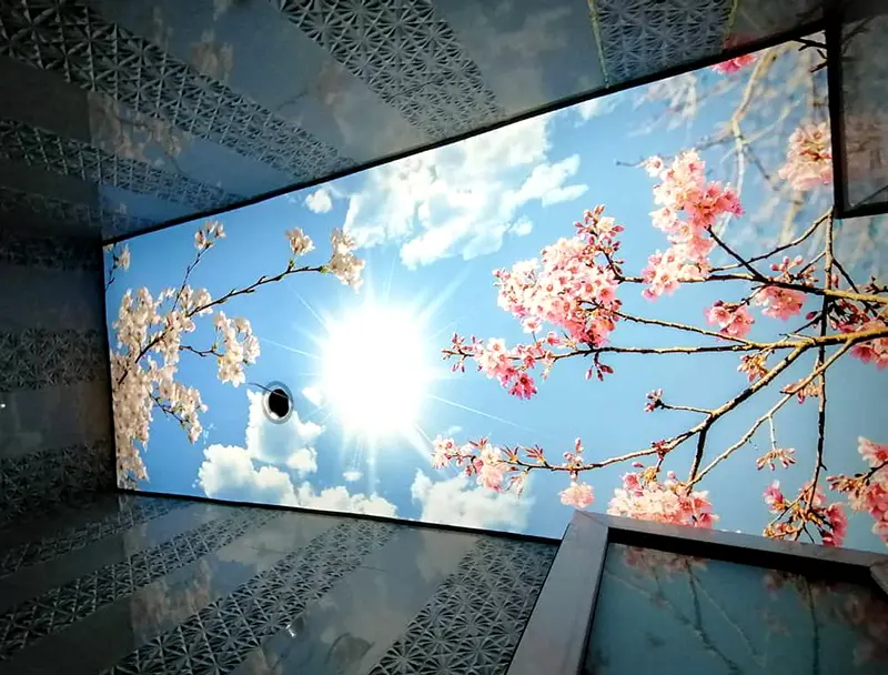 چاپ ترنسلوسنت